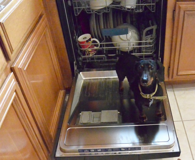 LeBron helping in the dishwasher