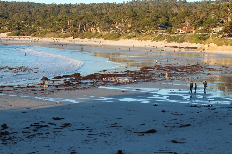 01_carmel_beach.jpg