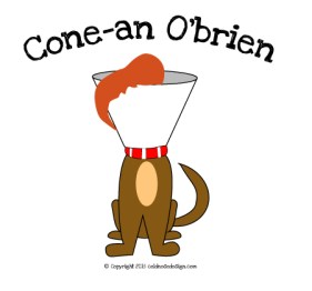 cone_an_obrien.jpg