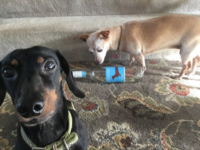 Peach drank all of Bronnie's wine