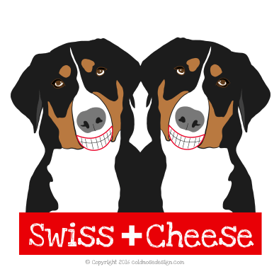 Swiss Mountain dogs smiling at the camera