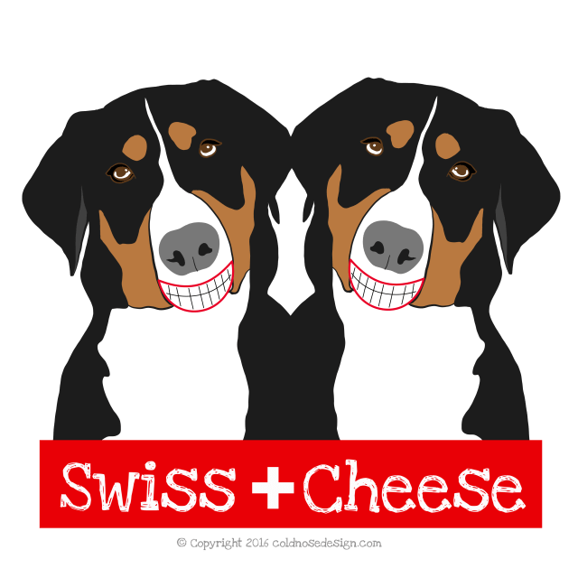 Swiss Mountain dogs smiling at the camera