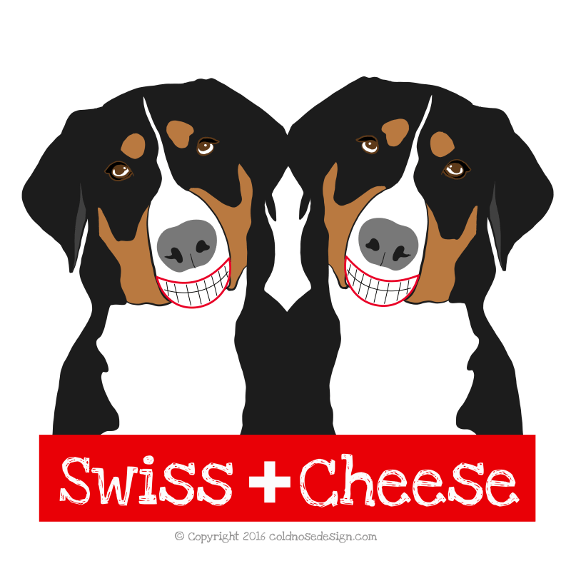 Swiss Mountain dogs smiling at the camera