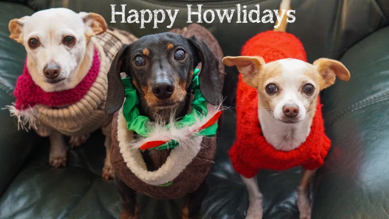 happyhowlidays.jpg